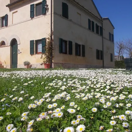 I Ciliegi Osimo