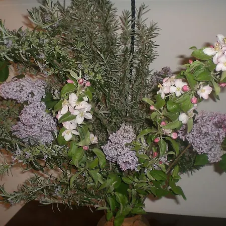 Bed & Breakfast I Ciliegi Osimo