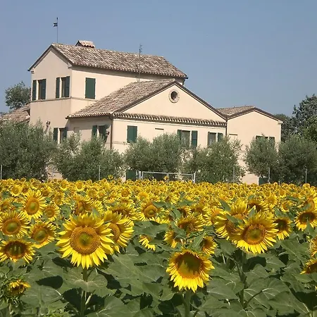 Bed & Breakfast I Ciliegi Osimo