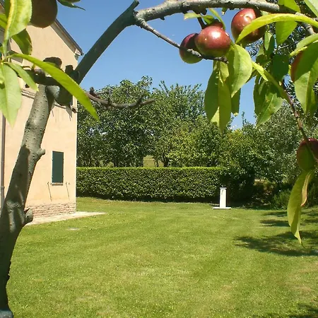 Bed & Breakfast I Ciliegi Osimo