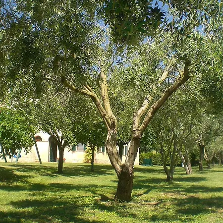 Bed & Breakfast I Ciliegi Osimo