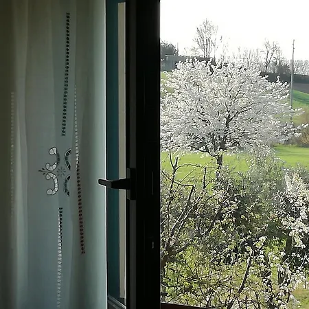I Ciliegi Bed & Breakfast Osimo