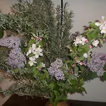 فندق مبيت وإفطار I Ciliegi أوزيمو