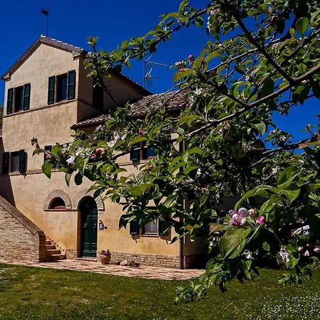 I Ciliegi Osimo