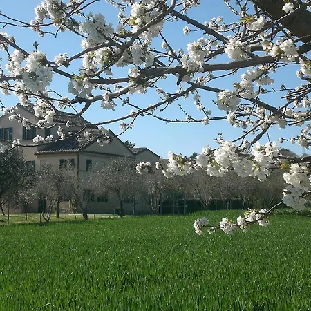 I Ciliegi Bed & Breakfast