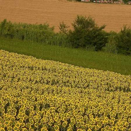Alojamento de Acomodação e Pequeno-almoço I Ciliegi Osimo