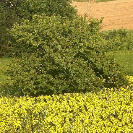 Bed & Breakfast I Ciliegi Osimo