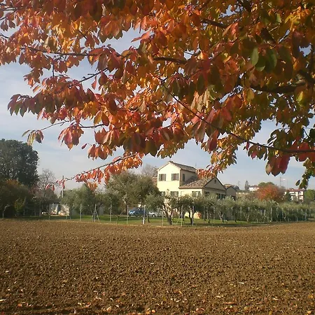 I Ciliegi Bed & Breakfast