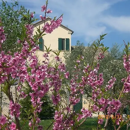 Bed & Breakfast I Ciliegi 3*