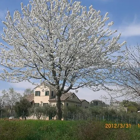 Bed & Breakfast I Ciliegi Osimo