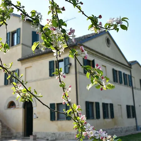 Alojamento de Acomodação e Pequeno-almoço I Ciliegi