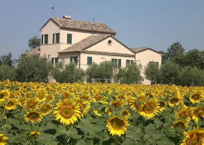 Bed & Breakfast I Ciliegi Osimo