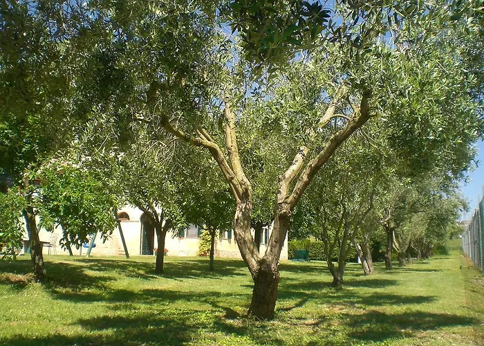 Bed & Breakfast I Ciliegi Osimo