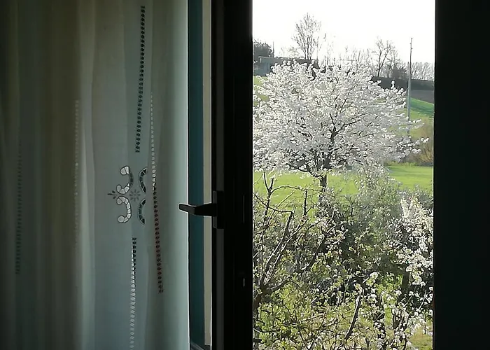 I Ciliegi Bed & Breakfast Osimo