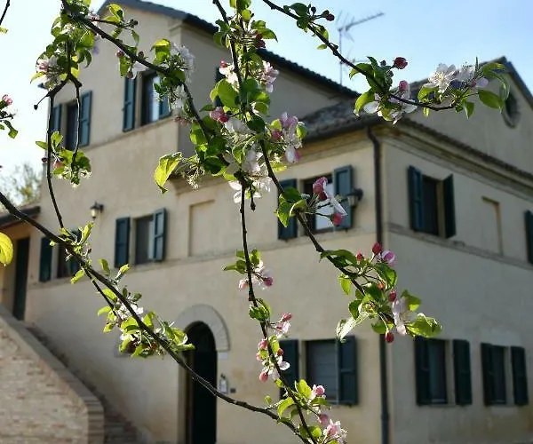 Bed & Breakfast I Ciliegi